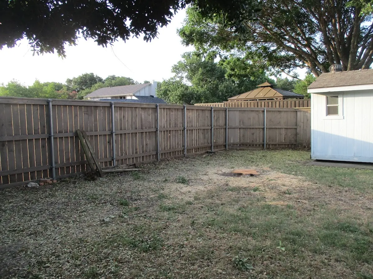 Cleared yard after professional tree removal in Riverton